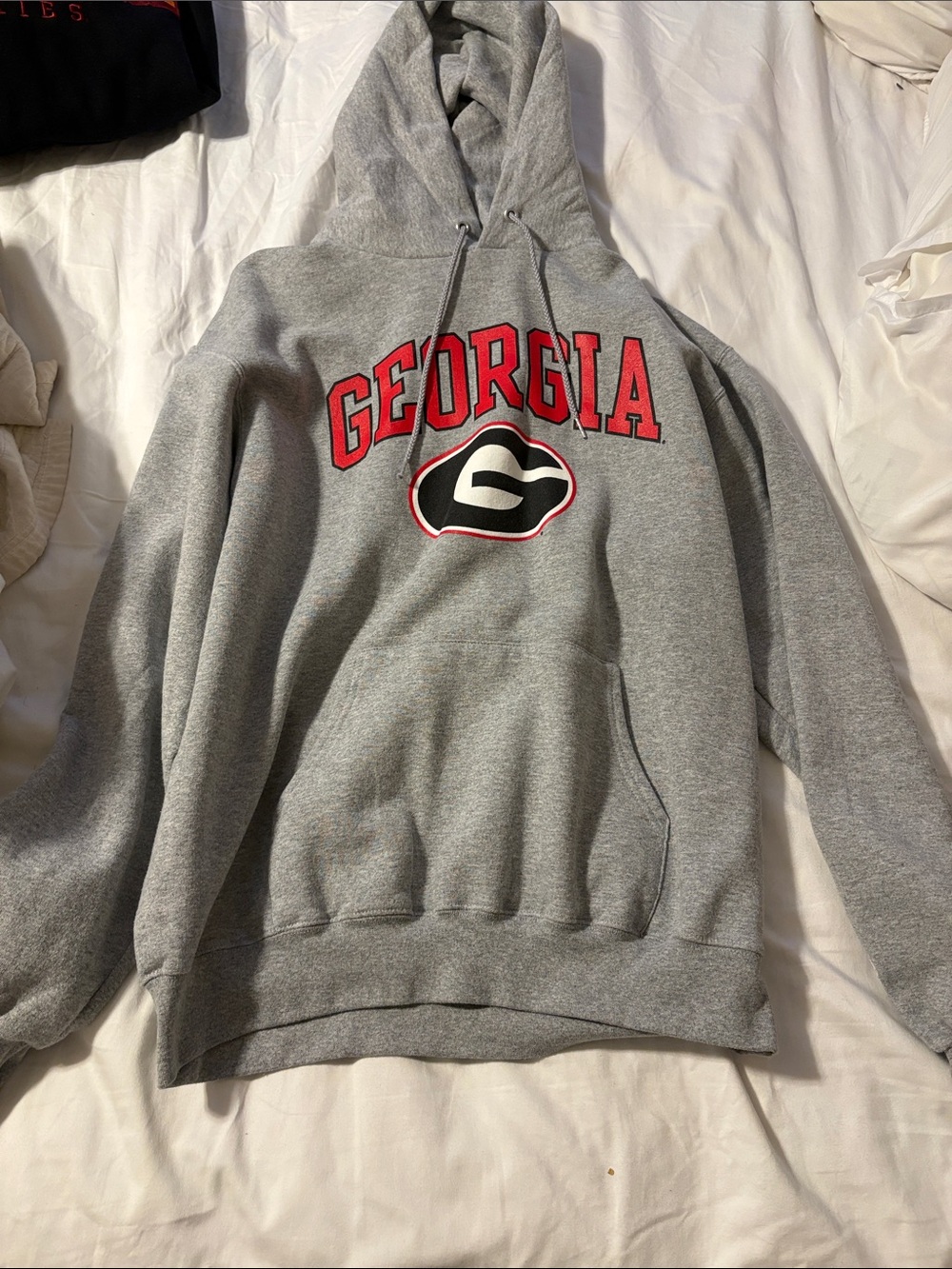 Champion Gray Georgia Hooded Sweatshirt with Red Lettering